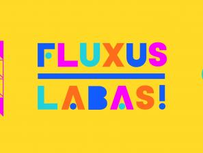 Fluxus Labas! mokymosi programa