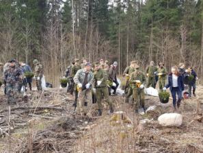 Miškininkai: lietuviai mišką myli ir sodina jį savo rankomis